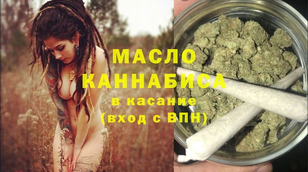 гашик Снежногорск