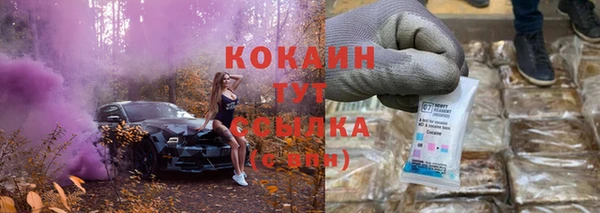 гашик Снежногорск