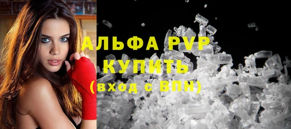 гашик Снежногорск
