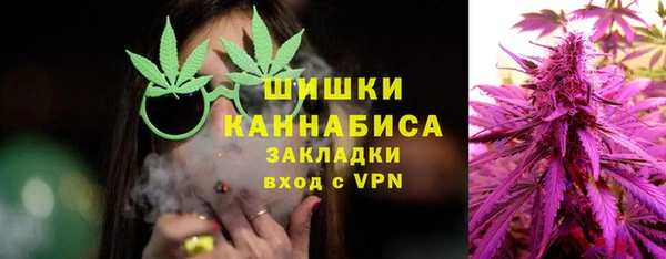 гашик Снежногорск