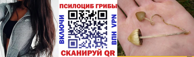 Псилоцибиновые грибы прущие грибы  как найти   ОМГ ОМГ сайт  Новое Девяткино 